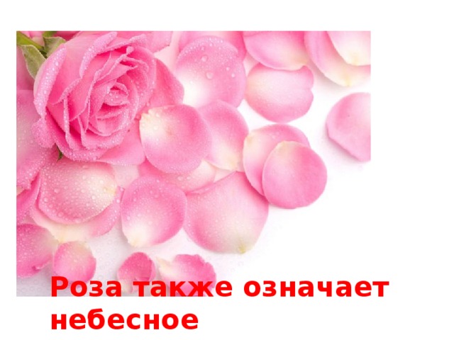 Роза также означает небесное вознаграждение за святость 