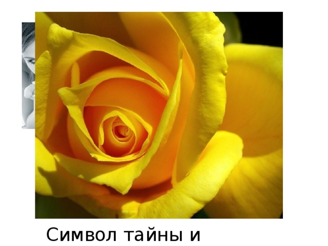 Символ тайны и молчания 