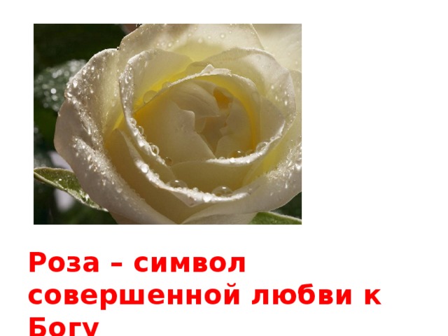 Роза – символ совершенной любви к Богу 