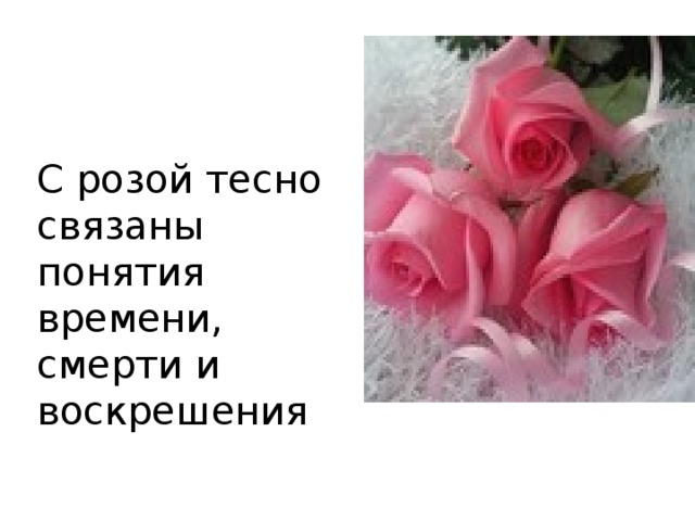 С розой тесно связаны понятия времени, смерти и воскрешения 
