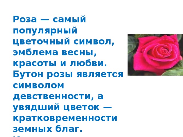 Роза — самый популярный цветочный символ, эмблема весны, красоты и любви. Бутон розы является символом девственности, а увядший цветок — кратковременности земных благ.   Как символ женственности, физической любви и юности Роза — самый популярный цветочный символ, эмблема весны, красоты и любви. Бутон розы является символом девственности, а увядший цветок — кратковременности земных благ.   Как символ женственности, физической любви и юности  