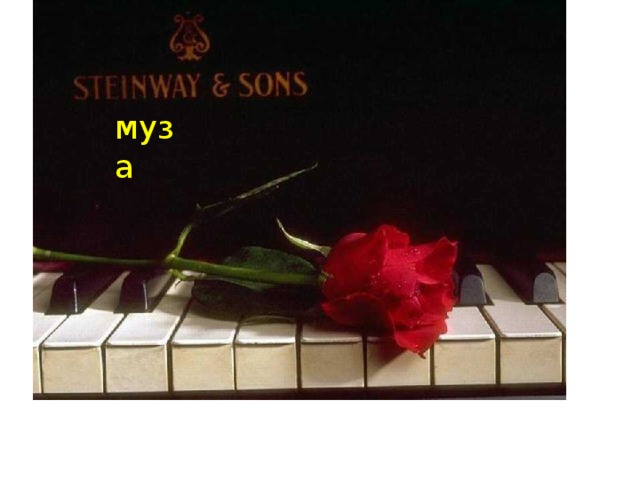 муза 