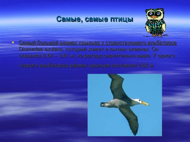 Самые, самые птицы Самый большой размах крыльев у странствующего альбатроса Diomedea exulans, который живет в южных океанах. Он оказался 2,54 – 3,51 м, но рекорд значительно выше. У одного старого альбатроса размах крыльев составлял 3,63 м.  