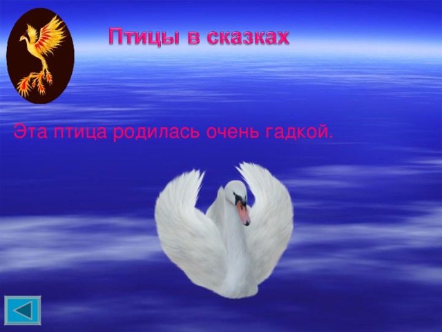 Эта птица родилась очень гадкой. 