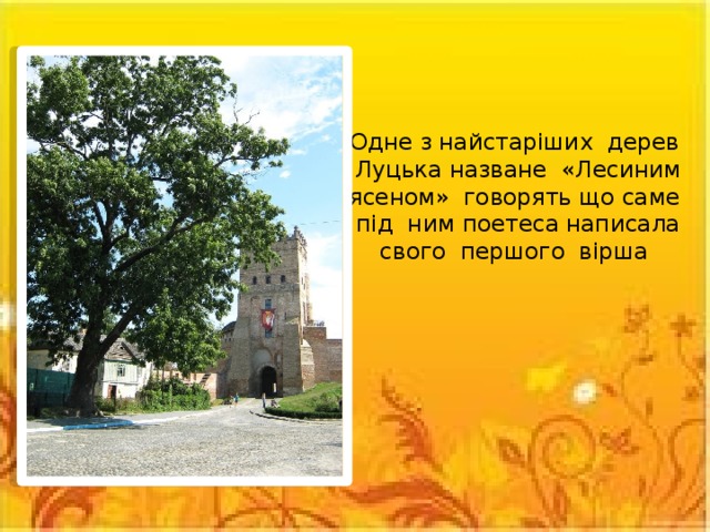 Одне з найстаріших дерев Луцька назване «Лесиним ясеном» говорять що саме під ним поетеса написала свого першого вірша 