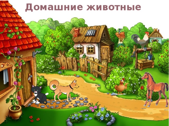 Домашние животные 