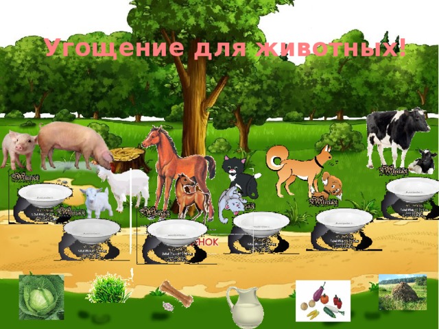 Угощение для животных! 