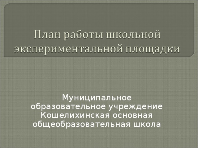 Муниципальное образовательное учреждение Кошелихинская основная общеобразовательная школа