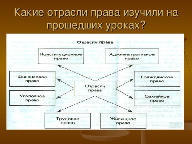 Какие отрасли права изучили на прошедших уроках? 