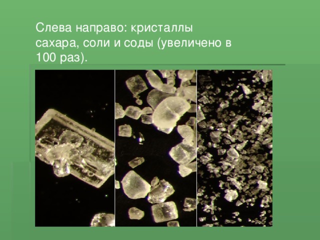 Слева направо: кристаллы сахара, соли и соды (увеличено в 100 раз).