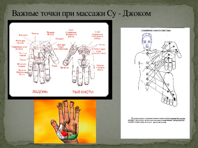 Важные точки при массажи Су - Джоком 