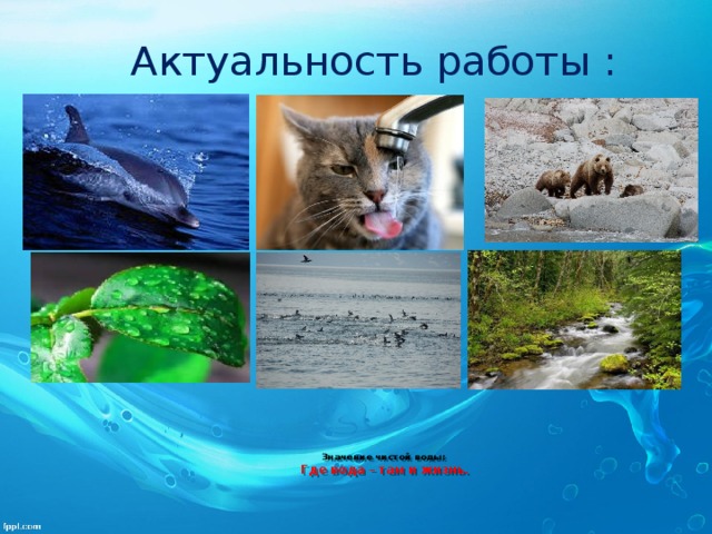 Актуальность работы :  Значение чистой воды:  Где вода – там и жизнь.    