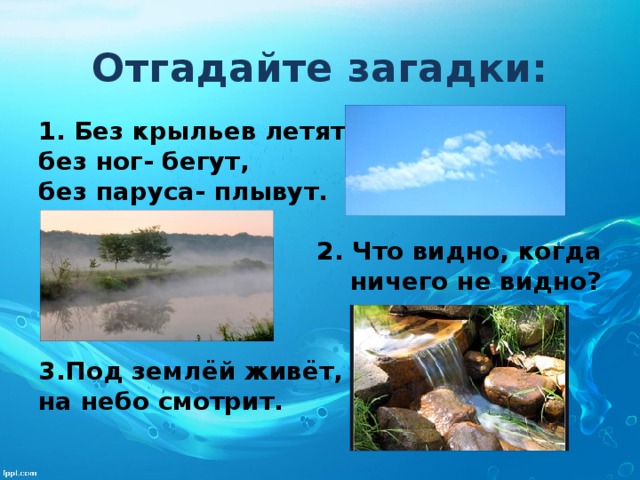 Отгадайте загадки: 1. Без крыльев летят, без ног- бегут, без паруса- плывут.  2. Что видно, когда  ничего не видно?   3.Под землёй живёт, на небо смотрит.  