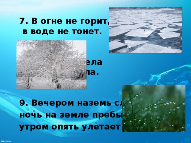 7. В огне не горит,  в воде не тонет.   8. Скатерть бела весь мир одела.   9. Вечером наземь слетает, ночь на земле пребывает, утром опять улетает   