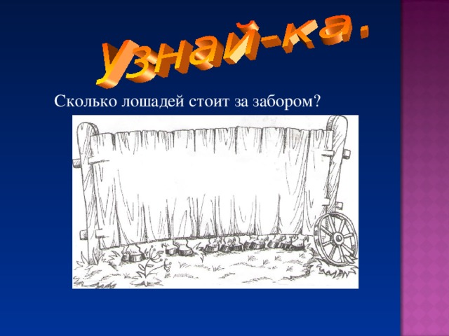 Сколько лошадей стоит за забором?  