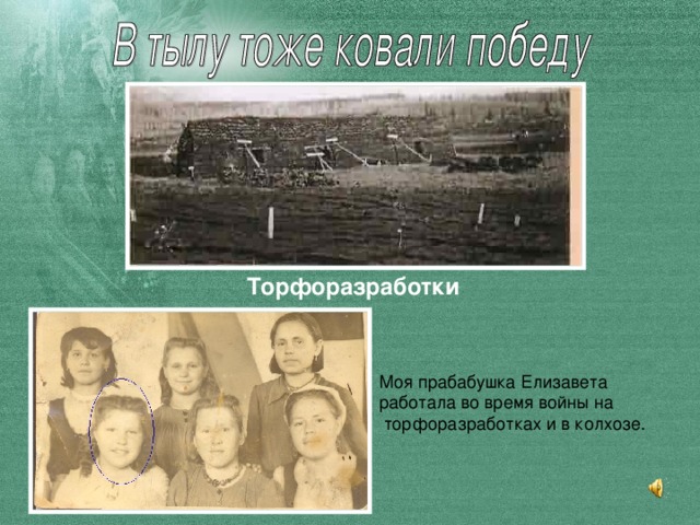 Торфоразработки