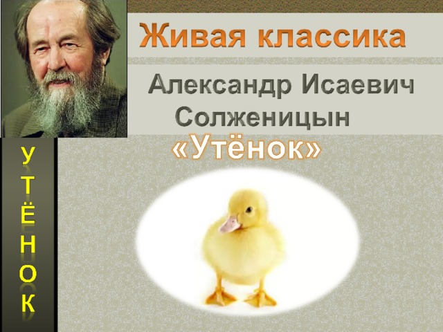 Солженицын утенок. Солженицын крохотки утенок. Утёнок Солженицын читательский дневник. Солженицын утенок иллюстрации. Солженицын утенок читать. Солженицын утенок. Солженицын крохотки утенок. Утёнок Солженицын читательский дневник. Солженицын утенок иллюстрации.