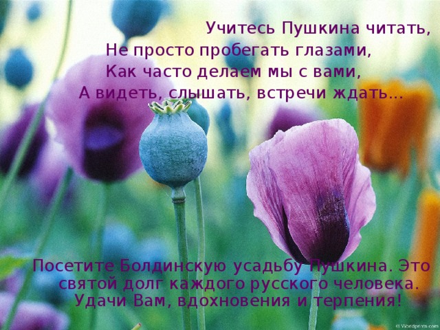  Учитесь Пушкина читать,  Не просто пробегать глазами,  Как часто делаем мы с вами,  А видеть, слышать, встречи ждать... Посетите Болдинскую усадьбу Пушкина. Это святой долг каждого русского человека. Удачи Вам, вдохновения и терпения! 
