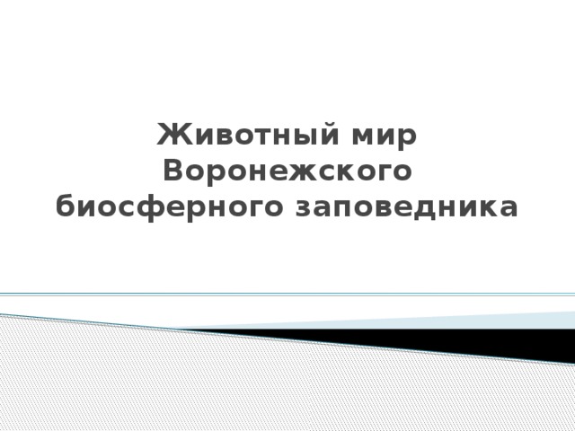 Животный мир Воронежского биосферного заповедника 