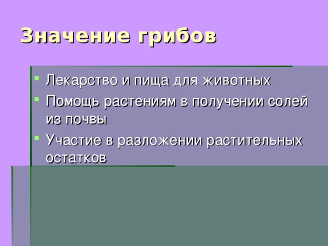 Значение грибов 5 класс проект в природе