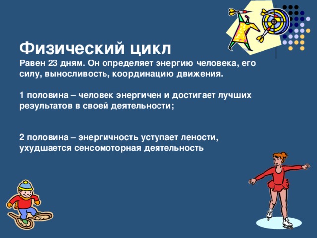 Физический цикл  Равен 23 дням. Он определяет энергию человека, его силу, выносливость, координацию движения.   1 половина – человек энергичен и достигает лучших результатов в своей деятельности;    2 половина – энергичность уступает лености, ухудшается сенсомоторная деятельность 