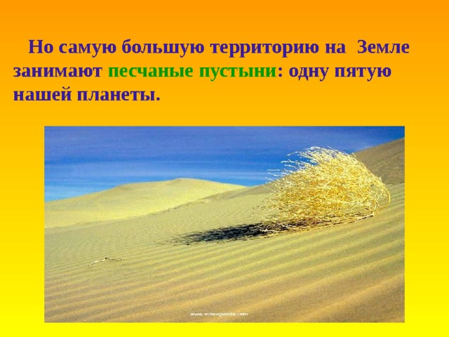 Самую большую территорию занимают какие