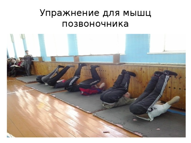 Упражнение для мышц позвоночника 