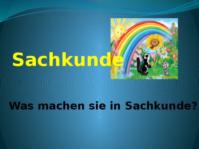 Sachkunde   Was machen sie in Sachkunde? 