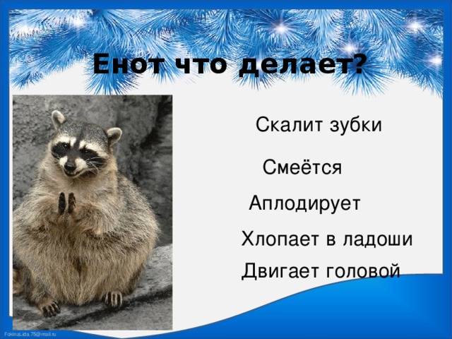 Енот что делает? Скалит зубки Смеётся  Аплодирует Хлопает в ладоши Двигает головой 