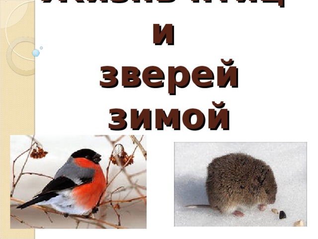 Зимняя жизнь птиц и зверей 2 класс перспектива презентация