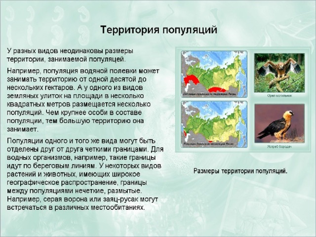 Две популяции одного вида пример Презентация "Критерии и структура вида"