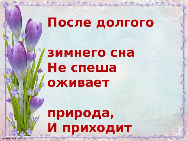 После долгого  зимнего сна  Не спеша оживает  природа,  И приходит  Царевна Весна,  Открывая собой  утро года.