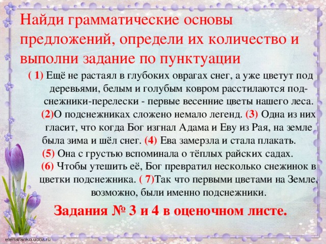 Найди грамматические основы предложений, определи их количество и выполни задание по пунктуации ( 1) Ещё не растаял в глубоких оврагах снег, а уже цветут под деревьями, белым и голубым ковром расстилаются под- снежники-перелески - первые весенние цветы нашего леса. (2) О подснежниках сложено немало легенд. (3) Одна из них гласит, что когда Бог изгнал Адама и Еву из Рая, на земле была зима и шёл снег. (4) Ева замерзла и стала плакать. (5) Она с грустью вспоминала о тёплых райских садах. (6) Чтобы утешить её, Бог превратил несколько снежинок в цветки подснежника. ( 7) Так что первыми цветами на Земле, возможно, были именно подснежники. Задания № 3 и 4 в оценочном листе.