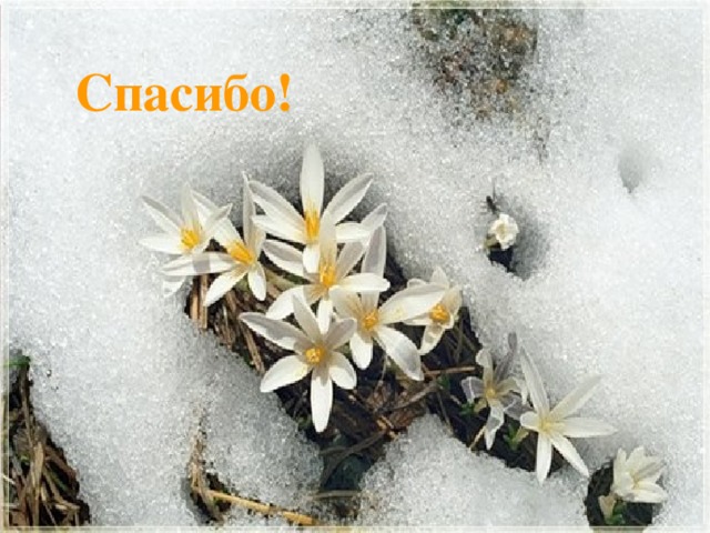 Спасибо!