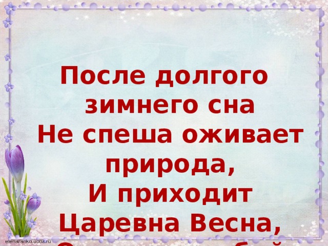 После долгого зимнего сна  Не спеша оживает природа,  И приходит Царевна Весна,  Открывая собой утро года.  Ирина Бутримова