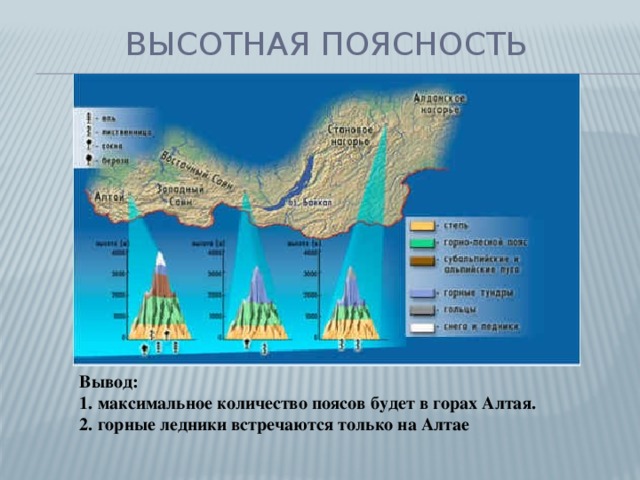 Высотная поясность сахалина схема