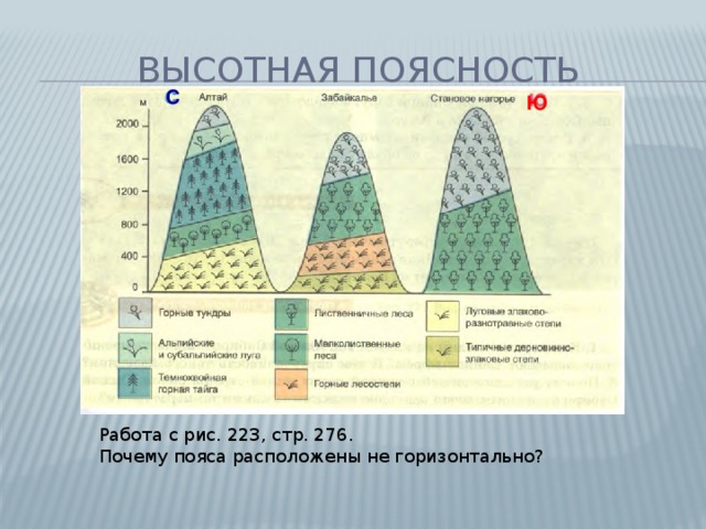 Схема высотной поясности