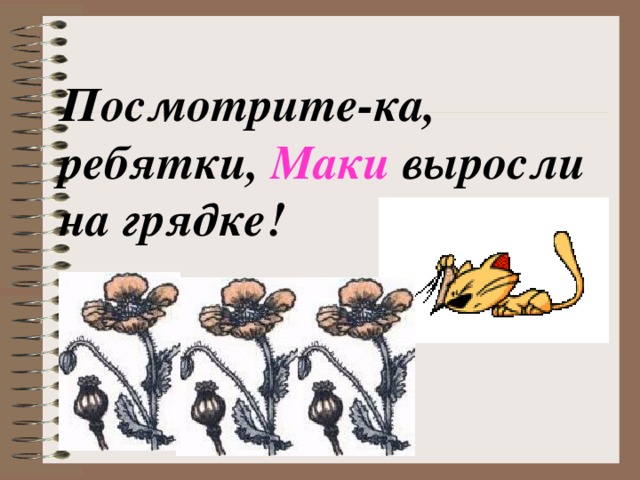 Посмотрите-ка, ребятки, Маки выросли на грядке! 