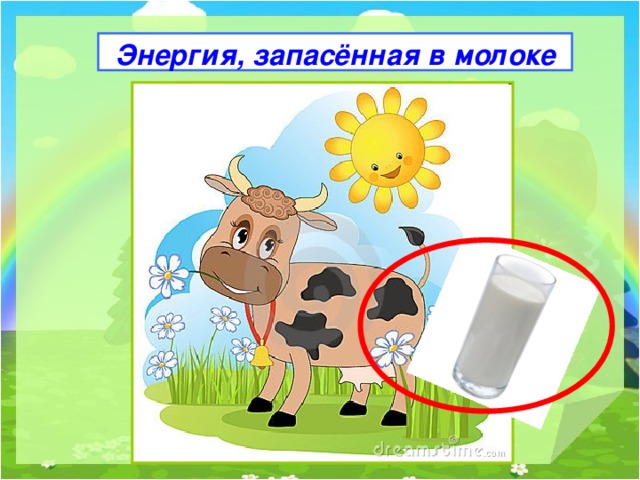 Энергия, запасённая в молоке 