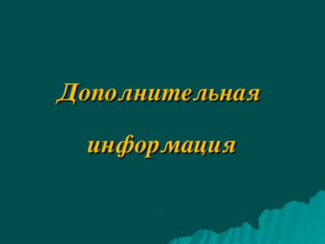 Дополнительная  информация 1111 