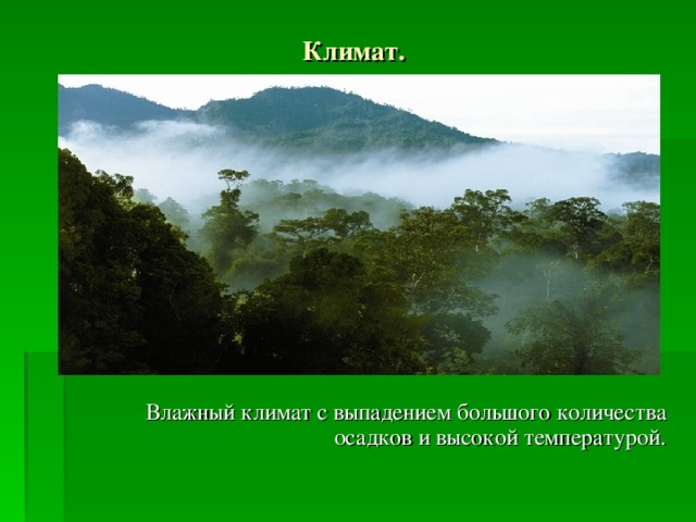 Переменно влажные леса температура. Муссонные леса Евразии климат. Тропические леса климат. Климат переменно влажных лесов. Климат постоянно влажных лесов.