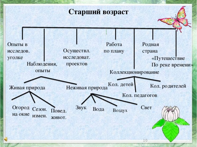 Наблюдение живая природа младшая. Схема наблюдения за живым объектом в ДОУ. Схема наблюдения в ДОУ. Наблюдение за объектами неживой природы. Опыты с живой и неживой природой в старшей группе.