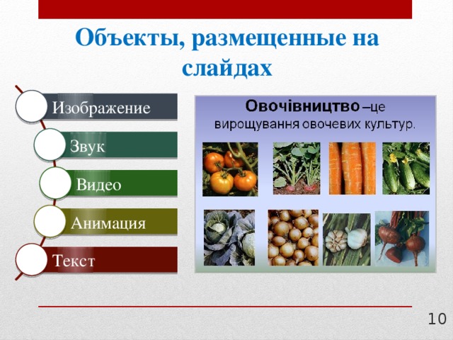 Презентация состоит из слайдов информационные объекты на