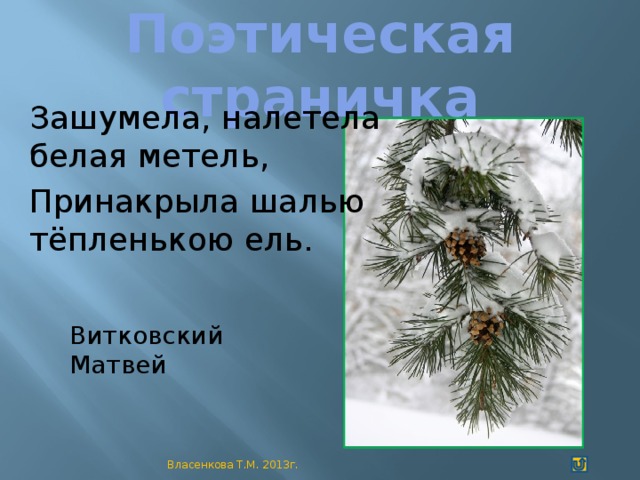 Поэтическая страничка Зашумела, налетела белая метель, Принакрыла шалью тёпленькою ель. Витковский Матвей Власенкова Т.М. 2013г.
