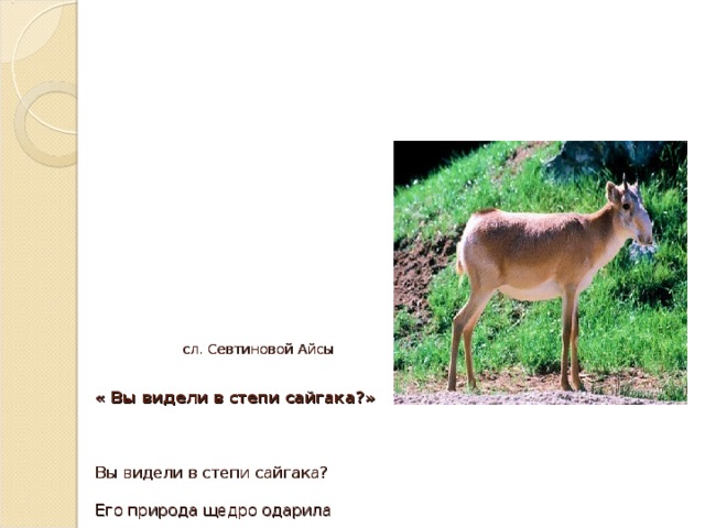 Антилопа схема слова