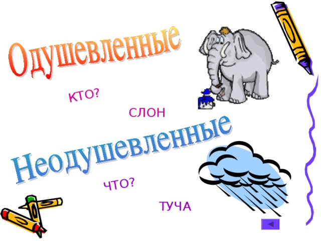 ЧТО? КТО? СЛОН  ТУЧА 