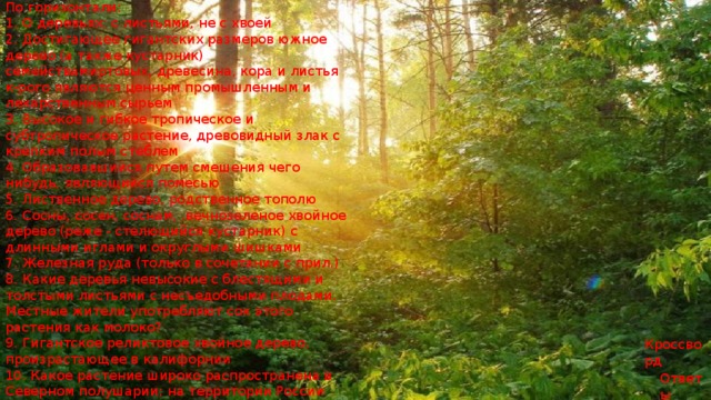 По горизонтали: 1. О деревьях: с листьями, не с хвоей 2. Достигающее гигантских размеров южное дерево (а также кустарник) семействамиртовых, древесина, кора и листья к-рого являются ценным промышленным и лекарственным сырьем 3. Высокое и гибкое тропическое и субтропическое растение, древовидный злак с крепким полым стеблем 4. Образовавшийся путем смешения чего нибудь, являющийся помесью 5. Лиственное дерево, родственное тополю 6. Сосны, сосен, соснам, .вечнозеленое хвойное дерево (реже - стелющийся кустарник) с длинными иглами и округлыми шишками 7. Железная руда (только в сочетании с прил.) 8. Какие деревья невысокие с блестящими и толстыми листьями с несъедобными плодами. Местные жители употребляют сок этого растения как молоко? 9. Гигантское реликтовое хвойное дерево, произрастающее в калифорнии 10. Какое растение широко распространена в Северном полушарии; на территории России принадлежит к числу наиболее распространённых древесных пород? Кроссворд Ответы 