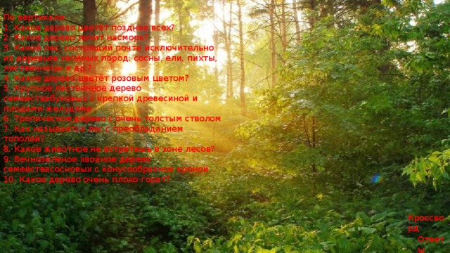По вертикали: 1. Какое дерево цветёт позднее всех? 2. Какое дерево лечит насморк? 3. Какой лес, состоящий почти исключительно из деревьев хвойных пород: сосны, ели, пихты, лиственницы и др.? 4. Какое дерево цветёт розовым цветом? 5. Крупное лиственное дерево семействабуковых с крепкой древесиной и плодами-желудями 6. Тропическое дерево с очень толстым стволом 7. Как называется лес с преобладанием тополей? 8. Какое животное не встретишь в зоне лесов? 9. Вечнозеленое хвойное дерево семействасосновых с конусообразной кроной 10. Какое дерево очень плохо горит? Кроссворд Ответы 