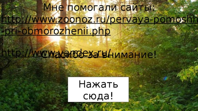 Мне помогали сайты: Спасибо за внимание! http://www.zoonoz.ru/pervaya-pomoshh-pri-obmorozhenii.php ; http://www.yandex.ru/ . Нажать сюда! 
