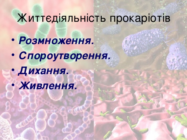 Життєдіяльність прокаріотів Розмноження. Спороутворення. Дихання. Живлення. 